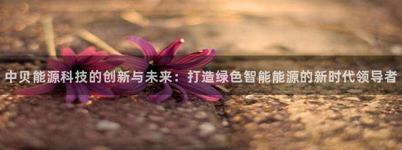 sunbet官网登录首页