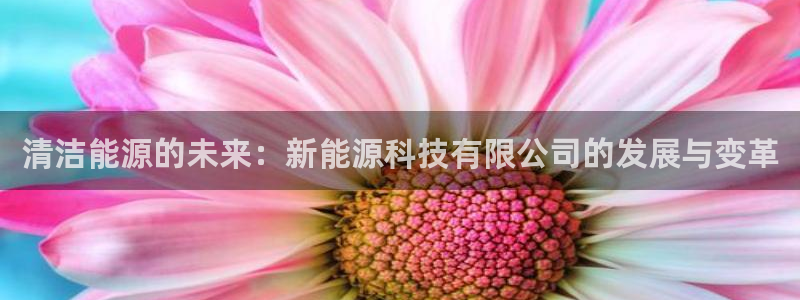 sunbet申搏官网