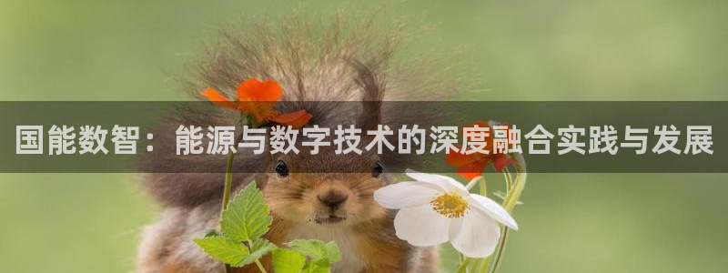 sunbet官网手机版登录