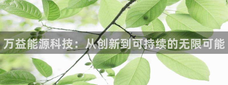 申博官网手机版下载app