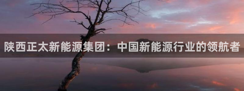 sunbet首页登录入口