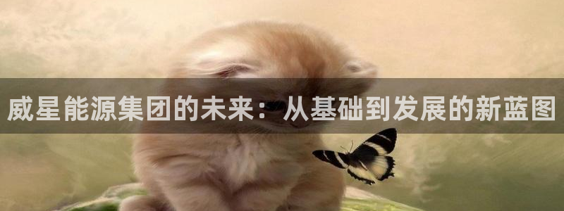 sunbet官网手机版登录