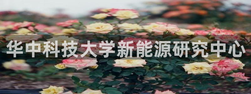 sunbet官网手机版