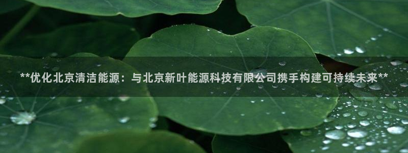 sunbet手机版官网下载