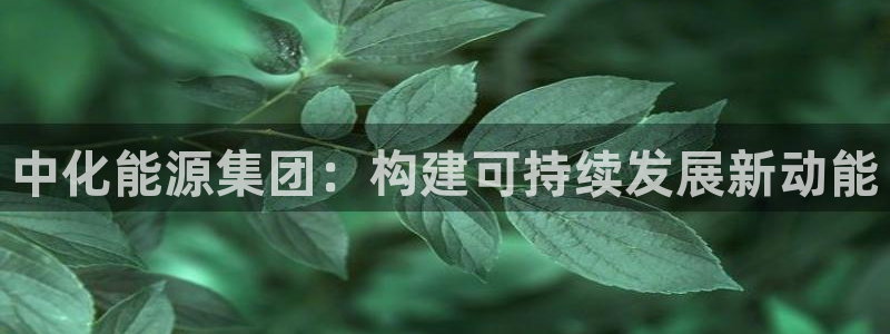 申博官网手机版下载app