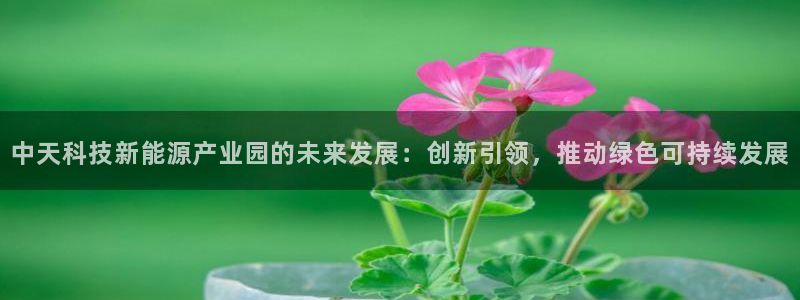 sunbet官网手机版