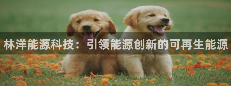 sunbet官网app首页