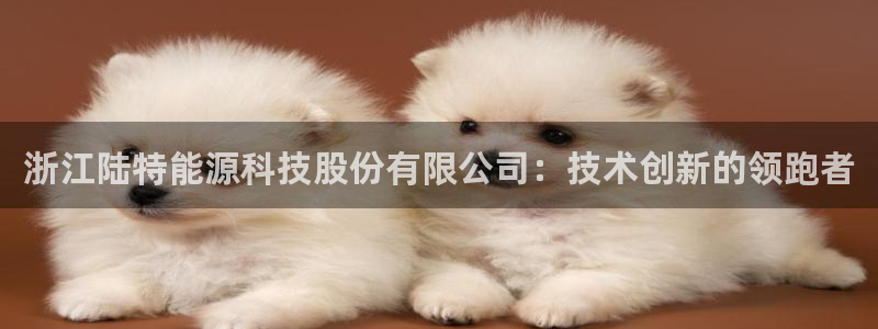 sunbet官网app首页