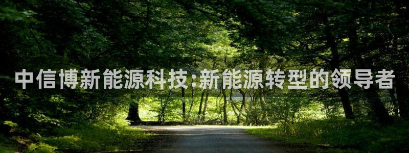 申博手机版官网